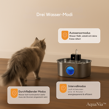 AquaNia™ - Der smarte Trinkbrunnen